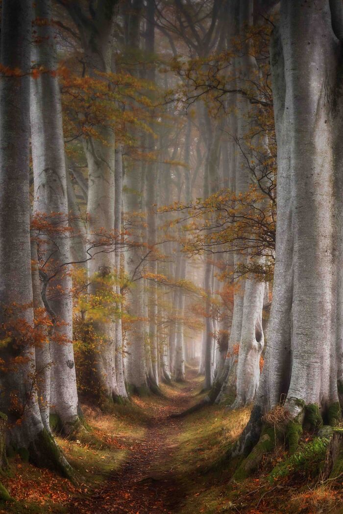 Feast Your Eyes On The 30 Incredible Winning Shots For The 2020 UK Landscape Photographer Of The Year Contest Feast Your Eyes On The 30 Incredible Winning Shots For The 2020 UK Landscape Photographer Of The Year Contest