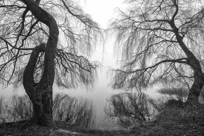 Feast Your Eyes On The 30 Incredible Winning Shots For The 2020 UK Landscape Photographer Of The Year Contest Feast Your Eyes On The 30 Incredible Winning Shots For The 2020 UK Landscape Photographer Of The Year Contest