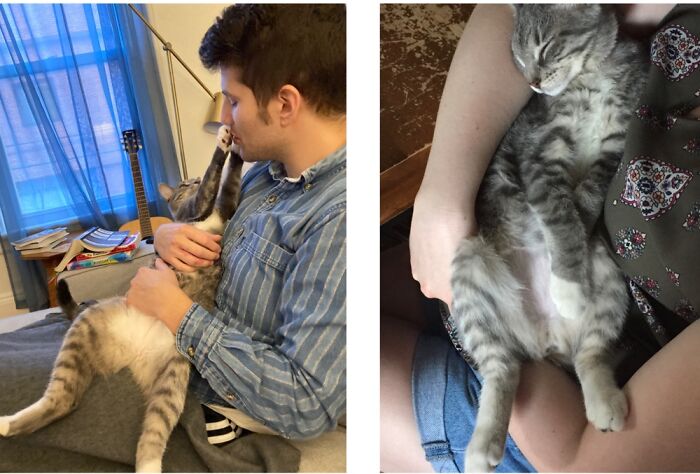 Hey Pandas, What Is Your Pet’s Weirdest Or Cutest Habit? (Closed) Hey Pandas, What Is Your Pet’s Weirdest Or Cutest Habit? (Closed)