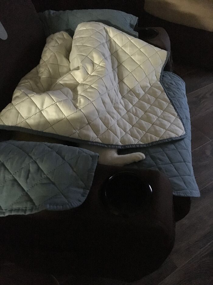 Hey Pandas, What Is Your Pet’s Weirdest Or Cutest Habit? (Closed) Hey Pandas, What Is Your Pet’s Weirdest Or Cutest Habit? (Closed)