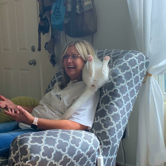 50 Most Wholesome Rescue Pet Photos Of October 50 Most Wholesome Rescue Pet Photos Of October