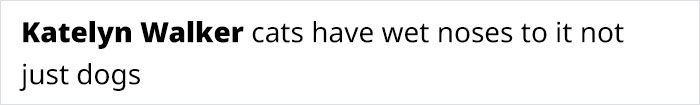TikTok-Famous Vet Addresses The Most Common Mistakes Pet Owners Are Making TikTok-Famous Vet Addresses The Most Common Mistakes Pet Owners Are Making