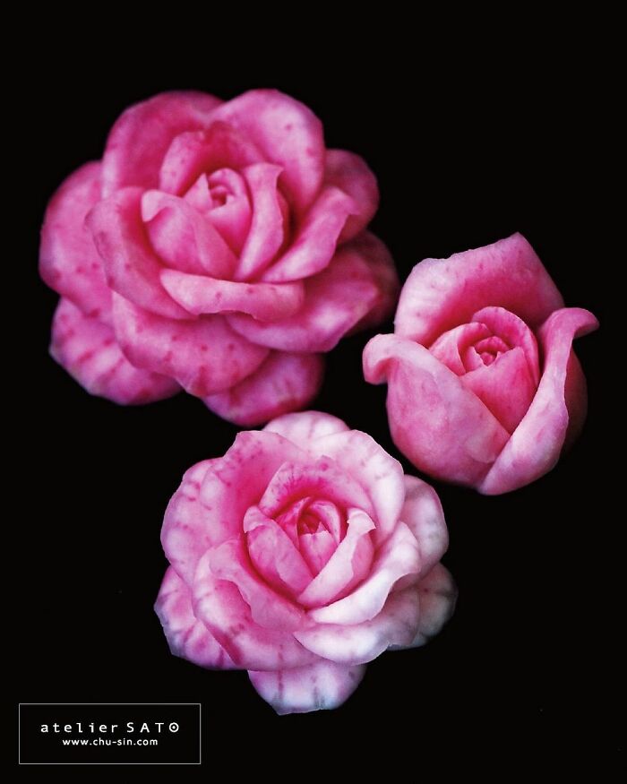 Artist Creates Beautiful Patterns On Fruits And Vegetables By Hand-Carving Intricate Designs Artist Creates Beautiful Patterns On Fruits And Vegetables By Hand-Carving Intricate Designs