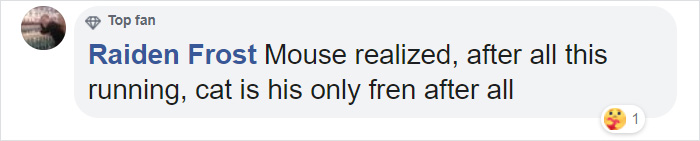 Someone Captures A Real-Life Tom And Jerry: A Mouse Running Up To A Cat To &#8216;Cuddle&#8217; After Being Chased Around