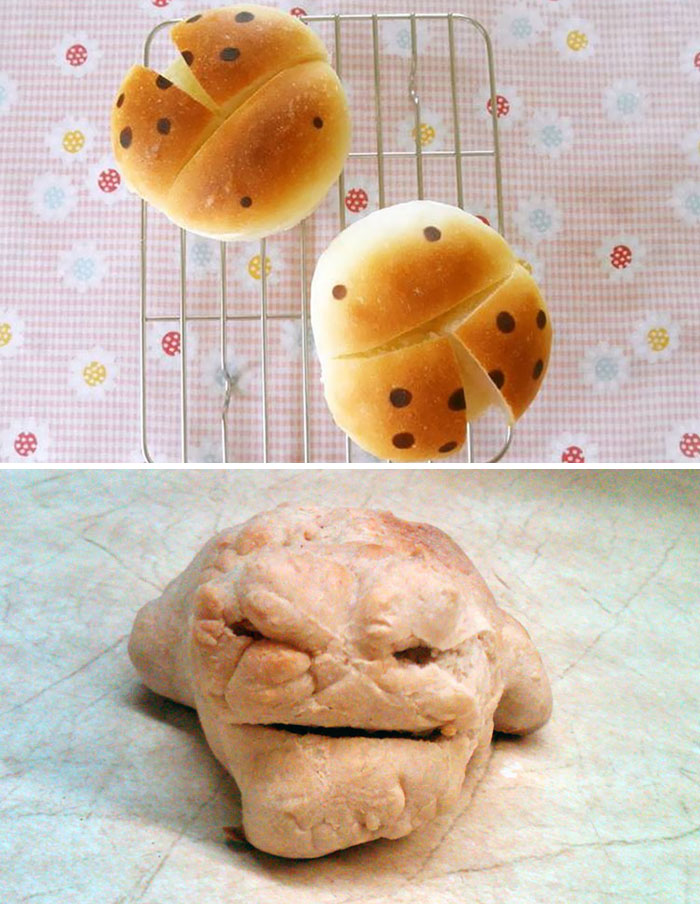 50 Times People Failed In The Kitchen So Badly, They Just Had To Share Pics Online (New Pics) 50 Times People Failed In The Kitchen So Badly, They Just Had To Share Pics Online (New Pics)