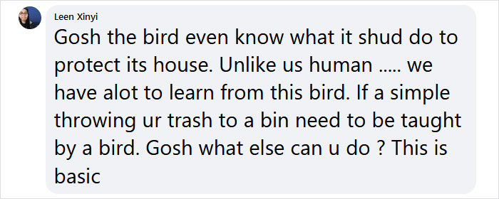 Guy Built A Bird Feeder That Accepts Bottle Caps For Food, And These Wild Magpies Love It Guy Built A Bird Feeder That Accepts Bottle Caps For Food, And These Wild Magpies Love It