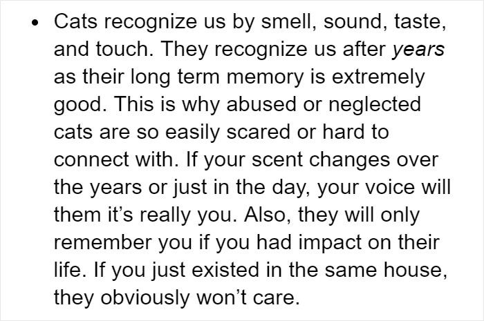 Cat Owners Explain How Cat Body Language Is Often Misinterpreted By ‘Dog People’ Cat Owners Explain How Cat Body Language Is Often Misinterpreted By ‘Dog People’