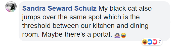 This Cat Leaps Into The Air Each Time She Goes Over This Exact Same Spot In The House