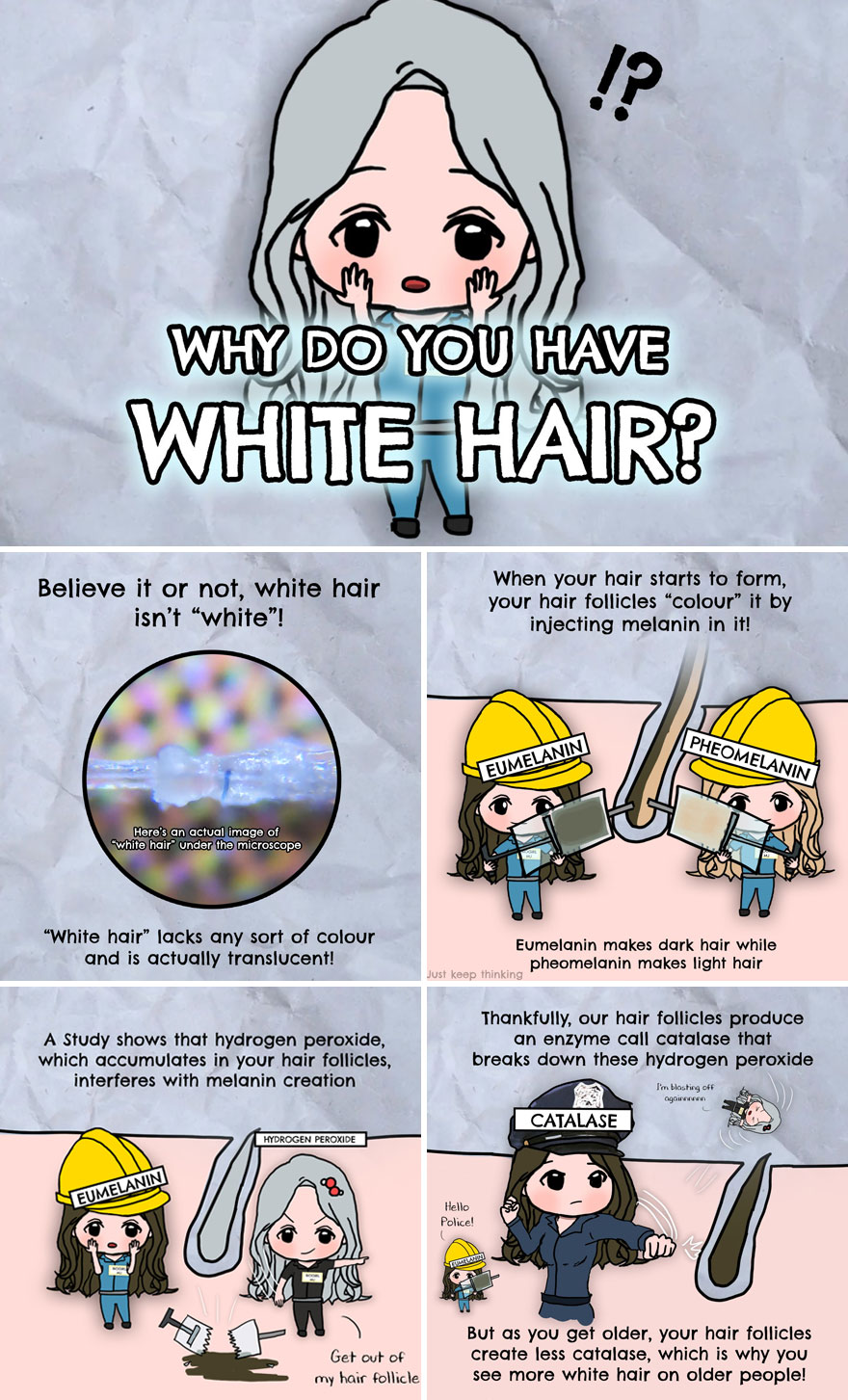 30 Beautifully Illustrated Facts That Show How Incredible Our World Is 30 Beautifully Illustrated Facts That Show How Incredible Our World Is