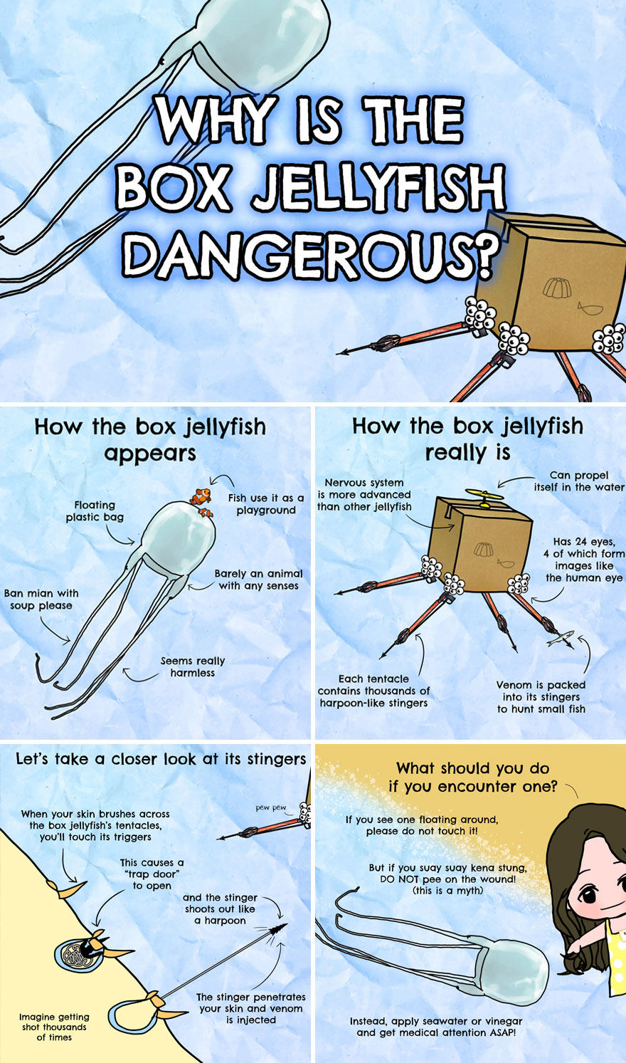 30 Beautifully Illustrated Facts That Show How Incredible Our World Is 30 Beautifully Illustrated Facts That Show How Incredible Our World Is