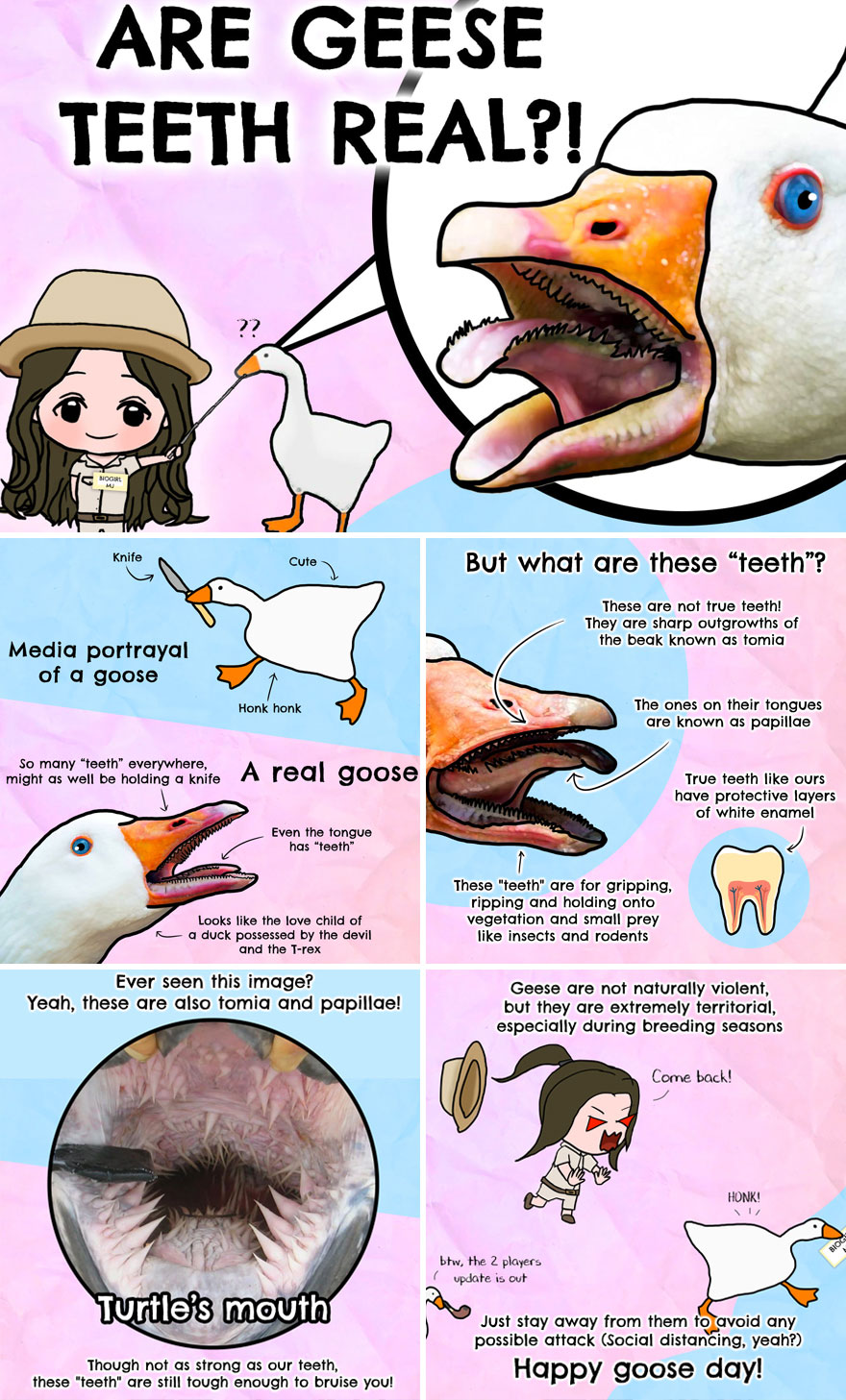 30 Beautifully Illustrated Facts That Show How Incredible Our World Is 30 Beautifully Illustrated Facts That Show How Incredible Our World Is