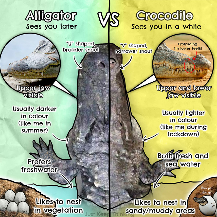 30 Beautifully Illustrated Facts That Show How Incredible Our World Is 30 Beautifully Illustrated Facts That Show How Incredible Our World Is