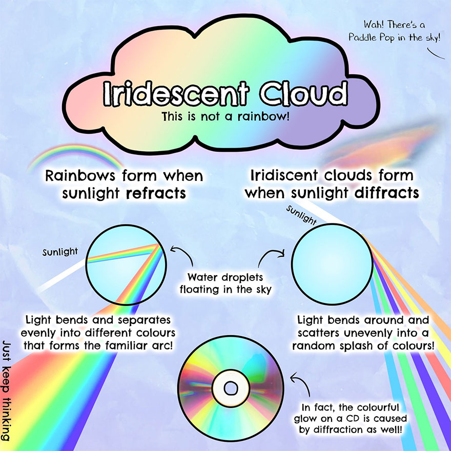 30 Beautifully Illustrated Facts That Show How Incredible Our World Is 30 Beautifully Illustrated Facts That Show How Incredible Our World Is