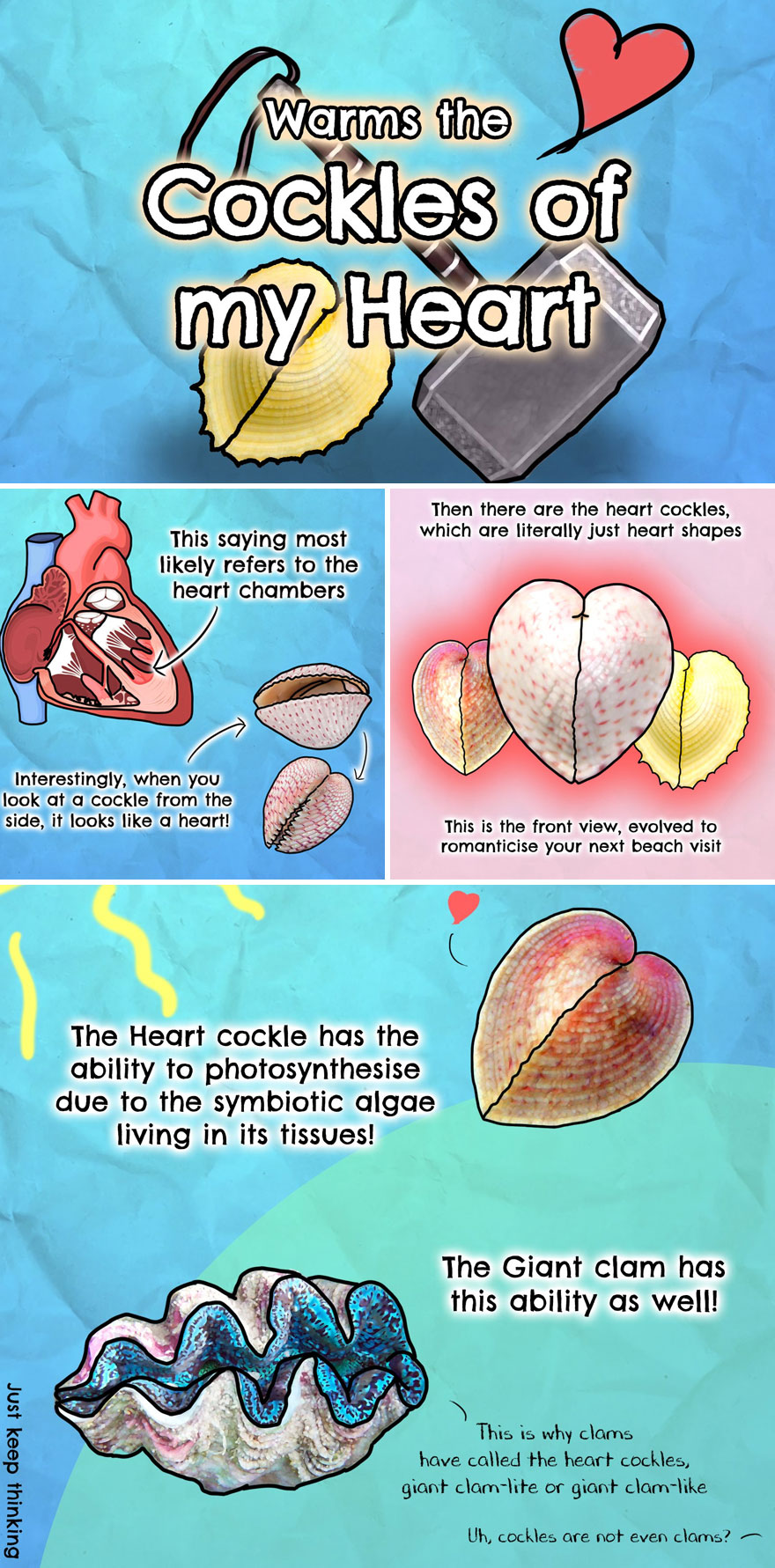 30 Beautifully Illustrated Facts That Show How Incredible Our World Is 30 Beautifully Illustrated Facts That Show How Incredible Our World Is