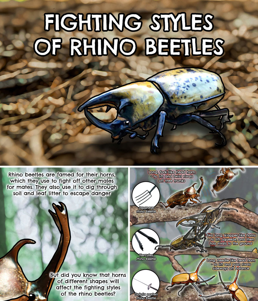 30 Beautifully Illustrated Facts That Show How Incredible Our World Is 30 Beautifully Illustrated Facts That Show How Incredible Our World Is