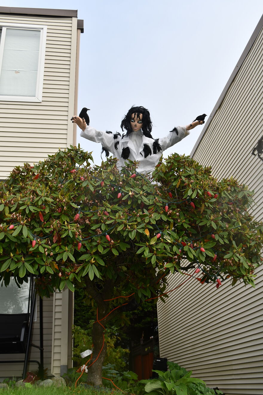 Schitt’s Creep: I Put Schitt’s Creek Into Halloween Schitt’s Creep: I Put Schitt’s Creek Into Halloween