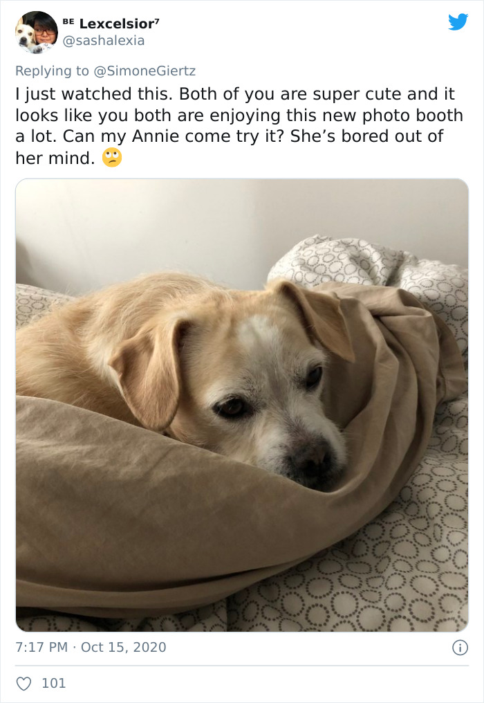 Woman Builds A Photo Booth That Lets Her Dog Take Selfies For Treats, And Over 230K People On Twitter Are Obsessed Woman Builds A Photo Booth That Lets Her Dog Take Selfies For Treats, And Over 230K People On Twitter Are Obsessed