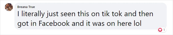 Mom Starts Upcycling Thrifted Plastic Dollhouses Into Spooky Mansions, And She’s Absolutely Nailing It Mom Starts Upcycling Thrifted Plastic Dollhouses Into Spooky Mansions, And She’s Absolutely Nailing It