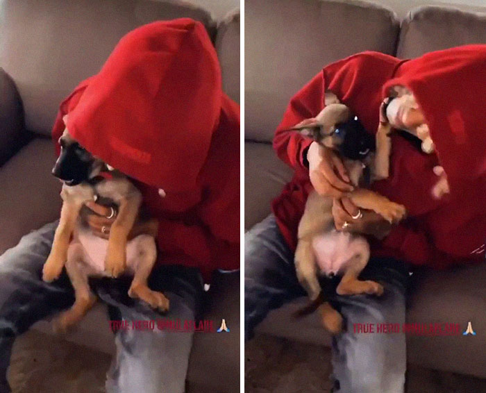 Woman Throws A Puppy At A Man, He Refuses To Give It Back And Shares How Happy The Doggy Is Now