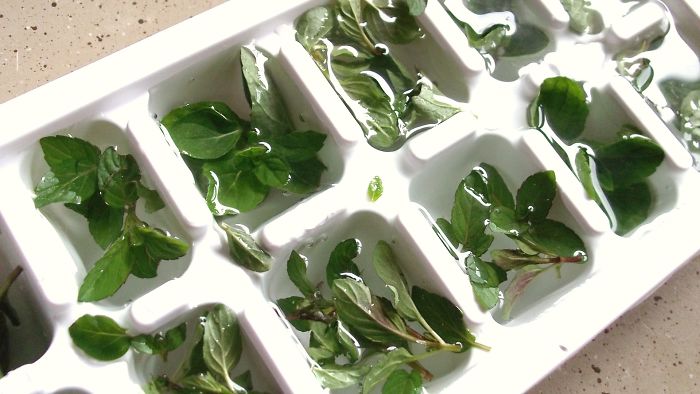 45 Simple Hacks Everyone Can Do To Make Groceries Last Longer 45 Simple Hacks Everyone Can Do To Make Groceries Last Longer