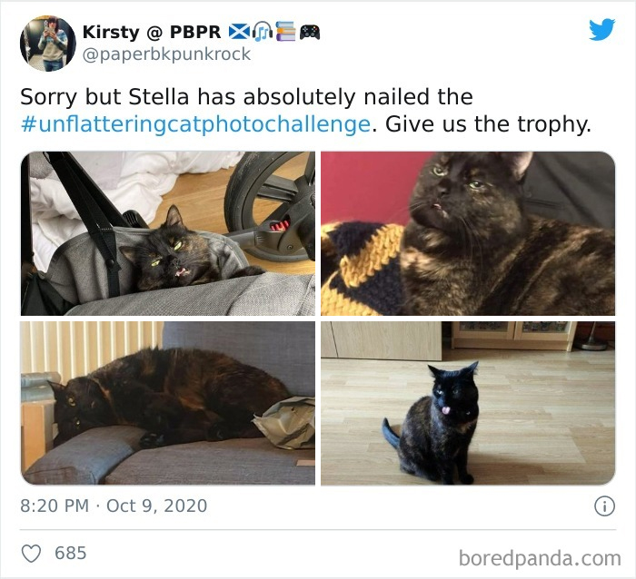 The ‘Unflattering Cat Photo Challenge’ Is Trending And It’s Hilarious How Unphotogenic These Cats Are The ‘Unflattering Cat Photo Challenge’ Is Trending And It’s Hilarious How Unphotogenic These Cats Are