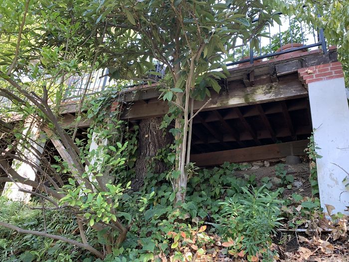 30 Times Structural Inspectors Found Surprising Things 30 Times Structural Inspectors Found Surprising Things