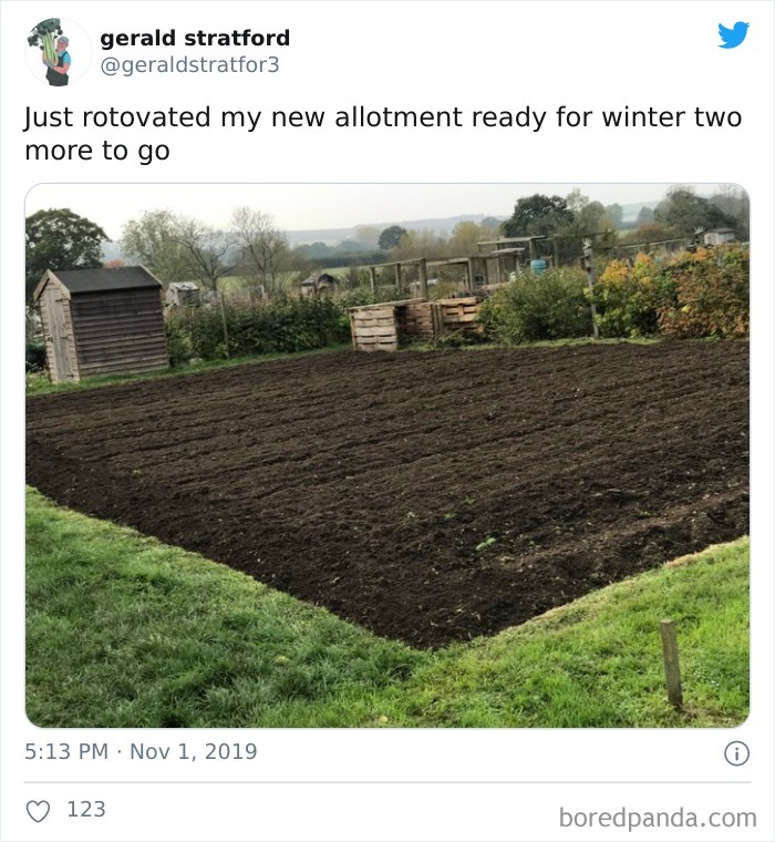 71-Year-Old Veggie King Posts Gardening Pics, Becomes An Internet Sensation (30 Pics) 71-Year-Old Veggie King Posts Gardening Pics, Becomes An Internet Sensation (30 Pics)