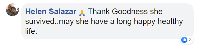 After Being Found Starving And Severely Dehydrated, 14-Week-Old Mountain Lion Cub Doubles Her Weight And Is Now Thriving After Being Found Starving And Severely Dehydrated, 14-Week-Old Mountain Lion Cub Doubles Her Weight And Is Now Thriving