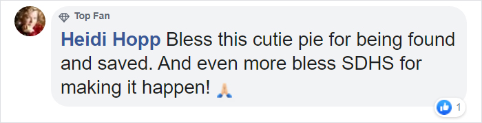 After Being Found Starving And Severely Dehydrated, 14-Week-Old Mountain Lion Cub Doubles Her Weight And Is Now Thriving After Being Found Starving And Severely Dehydrated, 14-Week-Old Mountain Lion Cub Doubles Her Weight And Is Now Thriving