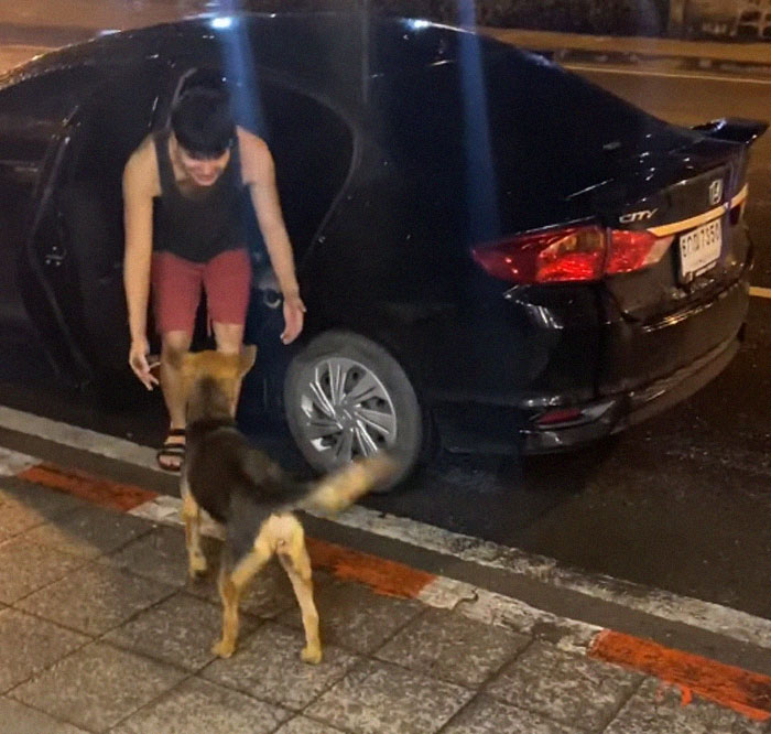 Hungover Guy Wakes Up With A Strange Dog In His Bed, Learns He Adopted Her Last Night Hungover Guy Wakes Up With A Strange Dog In His Bed, Learns He Adopted Her Last Night