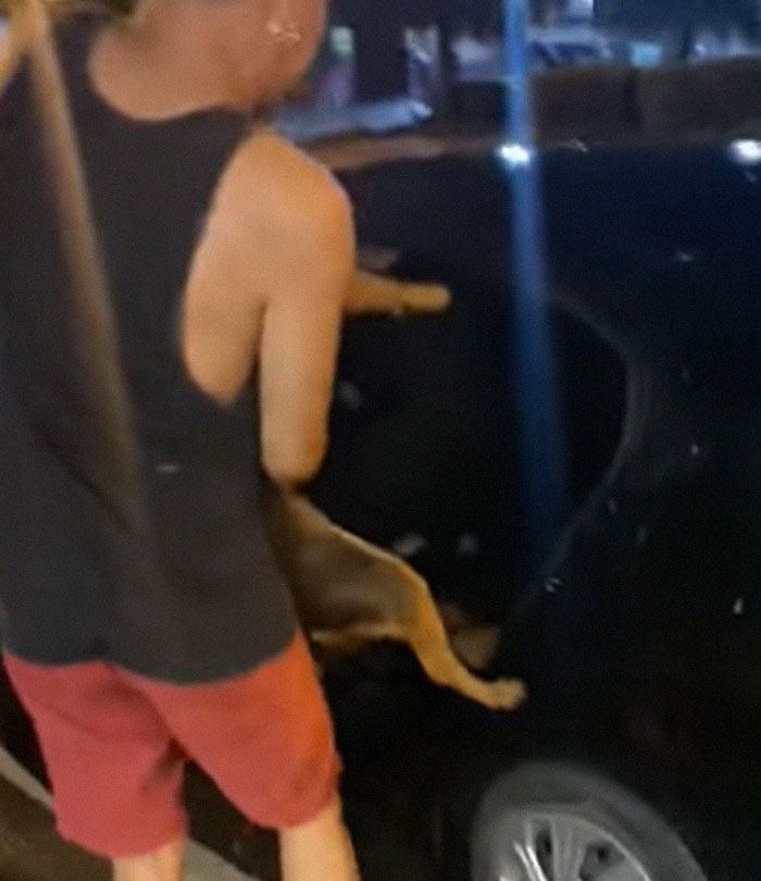 Hungover Guy Wakes Up With A Strange Dog In His Bed, Learns He Adopted Her Last Night Hungover Guy Wakes Up With A Strange Dog In His Bed, Learns He Adopted Her Last Night