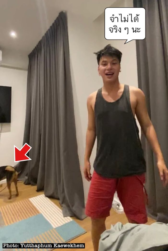 Hungover Guy Wakes Up With A Strange Dog In His Bed, Learns He Adopted Her Last Night Hungover Guy Wakes Up With A Strange Dog In His Bed, Learns He Adopted Her Last Night