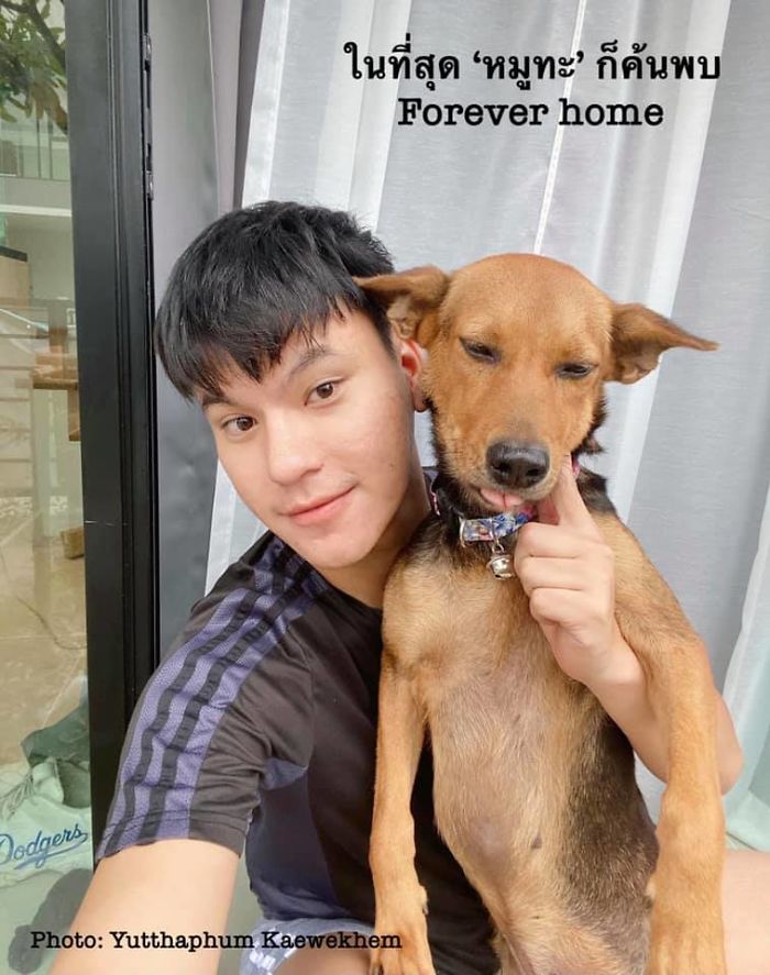 Hungover Guy Wakes Up With A Strange Dog In His Bed, Learns He Adopted Her Last Night Hungover Guy Wakes Up With A Strange Dog In His Bed, Learns He Adopted Her Last Night