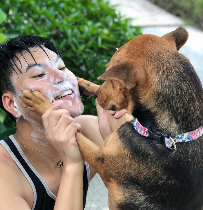 Hungover Guy Wakes Up With A Strange Dog In His Bed, Learns He Adopted Her Last Night Hungover Guy Wakes Up With A Strange Dog In His Bed, Learns He Adopted Her Last Night