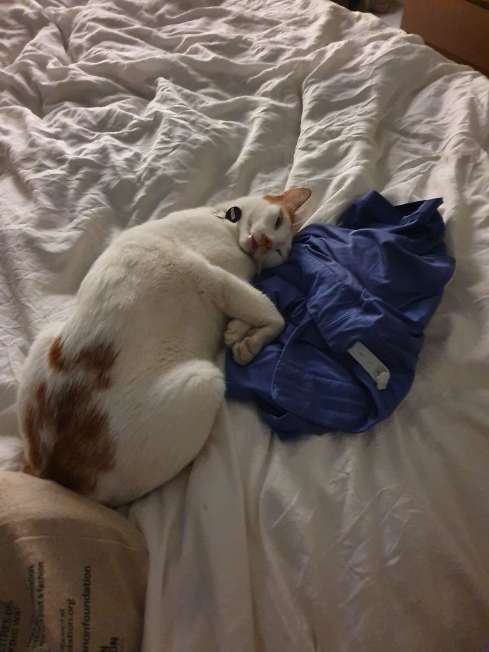 24 Times Pets Unintentionally Sent Their Owners Into Panic Mode 24 Times Pets Unintentionally Sent Their Owners Into Panic Mode