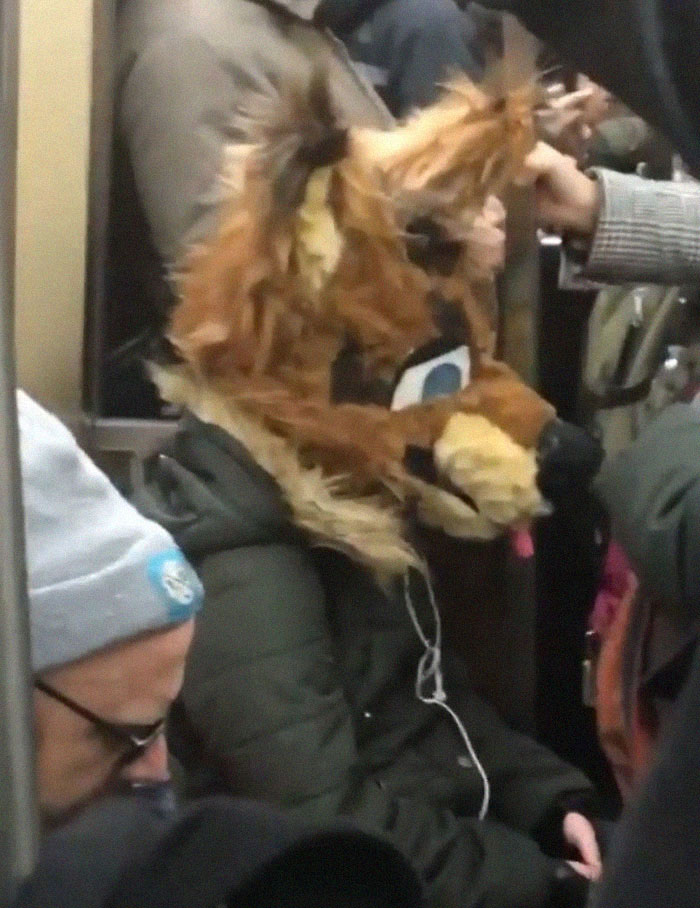 This Instagram Page Is Posting The Most Ridiculous Corona Masks Spotted On The Subway (37 Pics) This Instagram Page Is Posting The Most Ridiculous Corona Masks Spotted On The Subway (37 Pics)