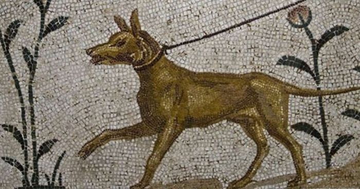 50 Facts From An Online Group Where People Post The Most Interesting Things They Learn And That Has 23 Million Members 50 Facts From An Online Group Where People Post The Most Interesting Things They Learn And That Has 23 Million Members