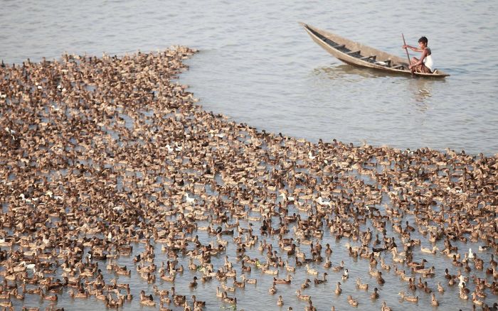 50 Facts From An Online Group Where People Post The Most Interesting Things They Learn And That Has 23 Million Members 50 Facts From An Online Group Where People Post The Most Interesting Things They Learn And That Has 23 Million Members