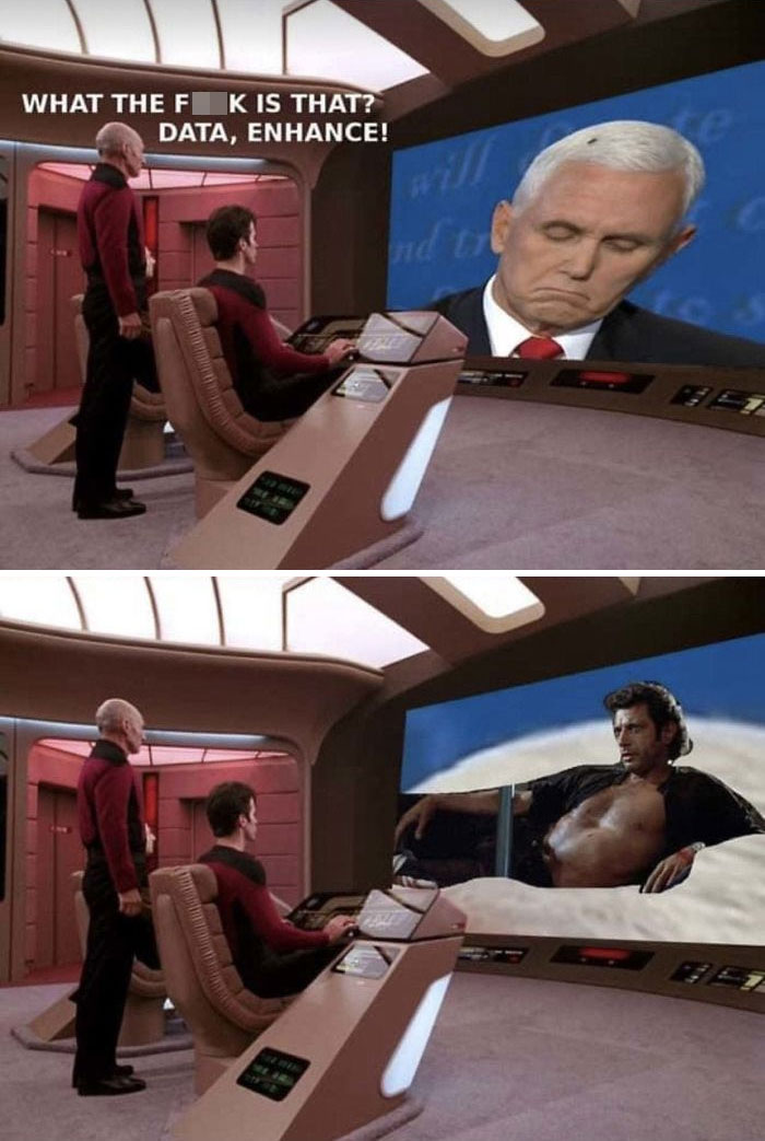 47 Memes That Wouldn’t Exist If The Fly Didn’t Land On Mike Pence’s Head Last Night 47 Memes That Wouldn’t Exist If The Fly Didn’t Land On Mike Pence’s Head Last Night