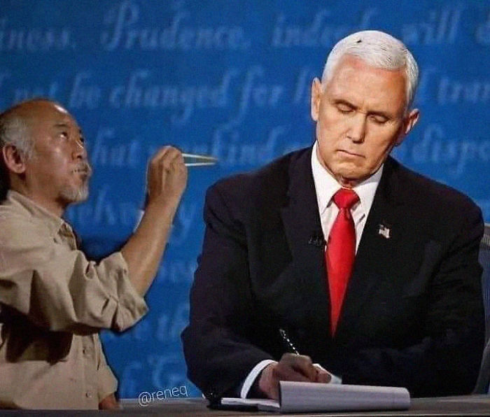 47 Memes That Wouldn’t Exist If The Fly Didn’t Land On Mike Pence’s Head Last Night 47 Memes That Wouldn’t Exist If The Fly Didn’t Land On Mike Pence’s Head Last Night