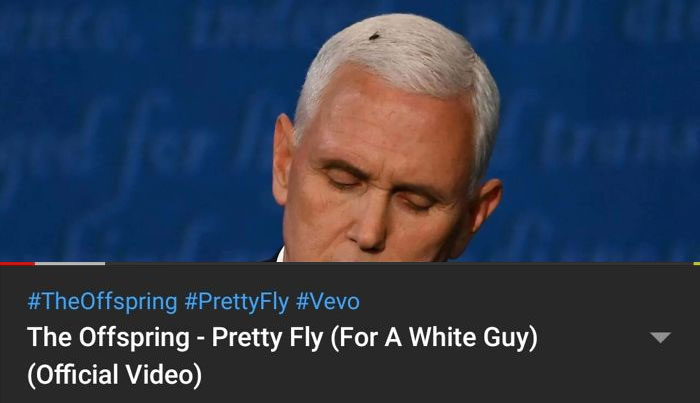 47 Memes That Wouldn’t Exist If The Fly Didn’t Land On Mike Pence’s Head Last Night 47 Memes That Wouldn’t Exist If The Fly Didn’t Land On Mike Pence’s Head Last Night