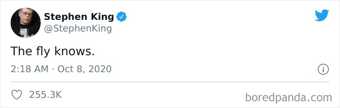 47 Memes That Wouldn’t Exist If The Fly Didn’t Land On Mike Pence’s Head Last Night 47 Memes That Wouldn’t Exist If The Fly Didn’t Land On Mike Pence’s Head Last Night