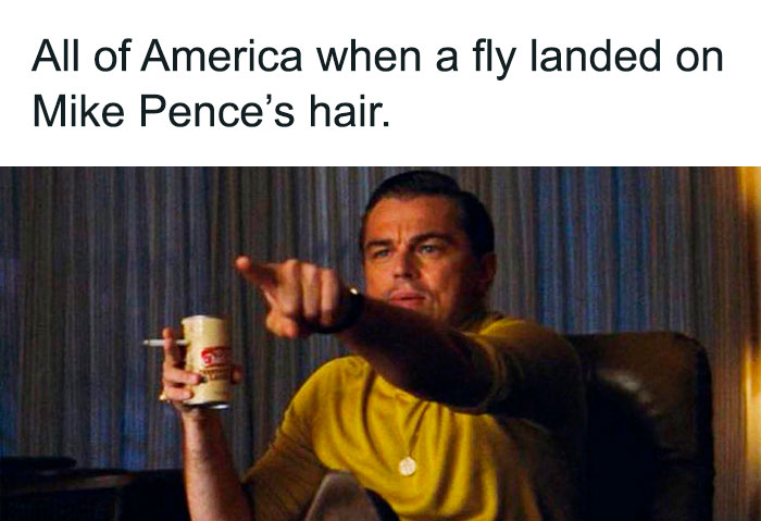 47 Memes That Wouldn’t Exist If The Fly Didn’t Land On Mike Pence’s Head Last Night 47 Memes That Wouldn’t Exist If The Fly Didn’t Land On Mike Pence’s Head Last Night
