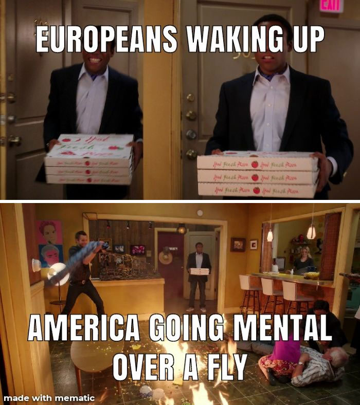 47 Memes That Wouldn’t Exist If The Fly Didn’t Land On Mike Pence’s Head Last Night 47 Memes That Wouldn’t Exist If The Fly Didn’t Land On Mike Pence’s Head Last Night