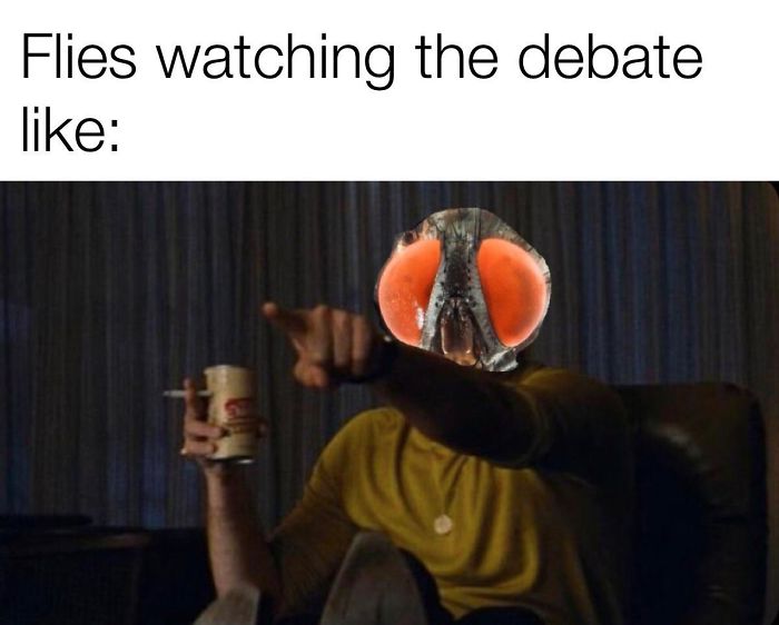 47 Memes That Wouldn’t Exist If The Fly Didn’t Land On Mike Pence’s Head Last Night 47 Memes That Wouldn’t Exist If The Fly Didn’t Land On Mike Pence’s Head Last Night