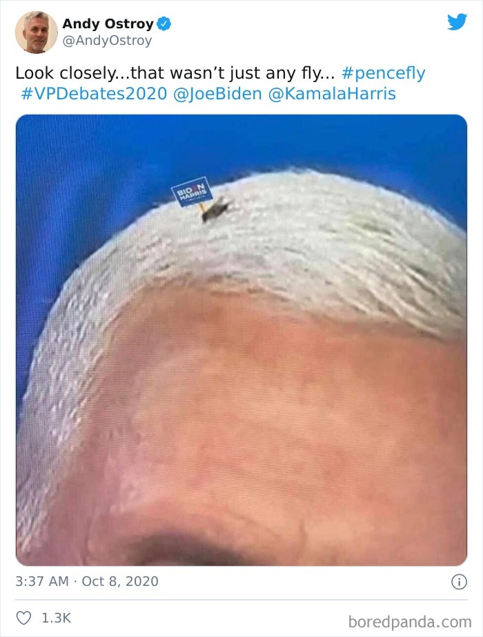 47 Memes That Wouldn’t Exist If The Fly Didn’t Land On Mike Pence’s Head Last Night 47 Memes That Wouldn’t Exist If The Fly Didn’t Land On Mike Pence’s Head Last Night