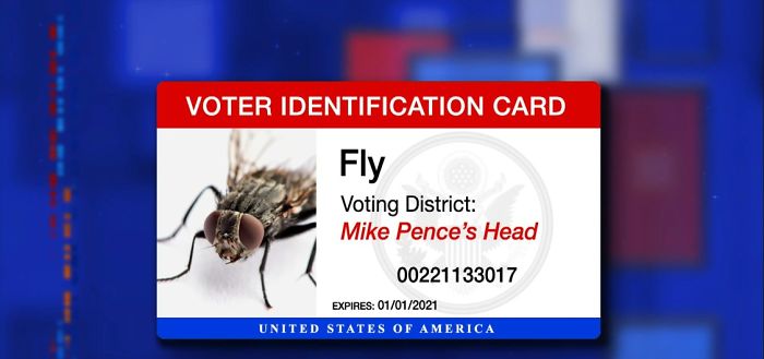 47 Memes That Wouldn’t Exist If The Fly Didn’t Land On Mike Pence’s Head Last Night 47 Memes That Wouldn’t Exist If The Fly Didn’t Land On Mike Pence’s Head Last Night