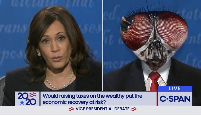 47 Memes That Wouldn’t Exist If The Fly Didn’t Land On Mike Pence’s Head Last Night 47 Memes That Wouldn’t Exist If The Fly Didn’t Land On Mike Pence’s Head Last Night