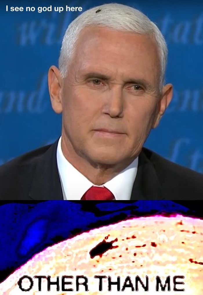 47 Memes That Wouldn’t Exist If The Fly Didn’t Land On Mike Pence’s Head Last Night 47 Memes That Wouldn’t Exist If The Fly Didn’t Land On Mike Pence’s Head Last Night