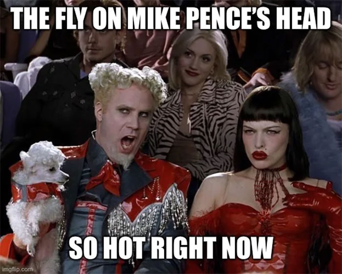 47 Memes That Wouldn’t Exist If The Fly Didn’t Land On Mike Pence’s Head Last Night 47 Memes That Wouldn’t Exist If The Fly Didn’t Land On Mike Pence’s Head Last Night
